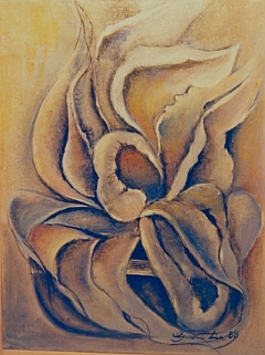 Fiori